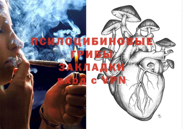spice Абаза