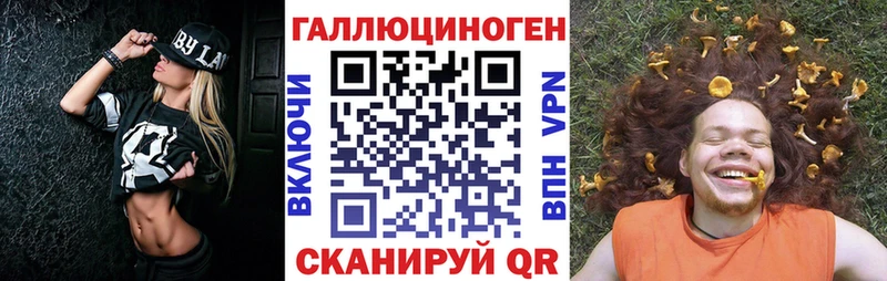закладки  Королёв  Галлюциногенные грибы Magic Shrooms 